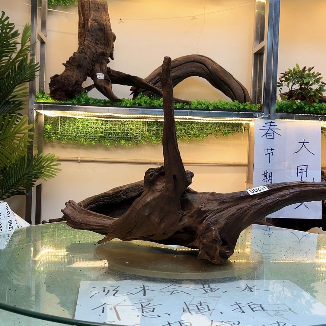 柚木【**】沉木鱼缸造景