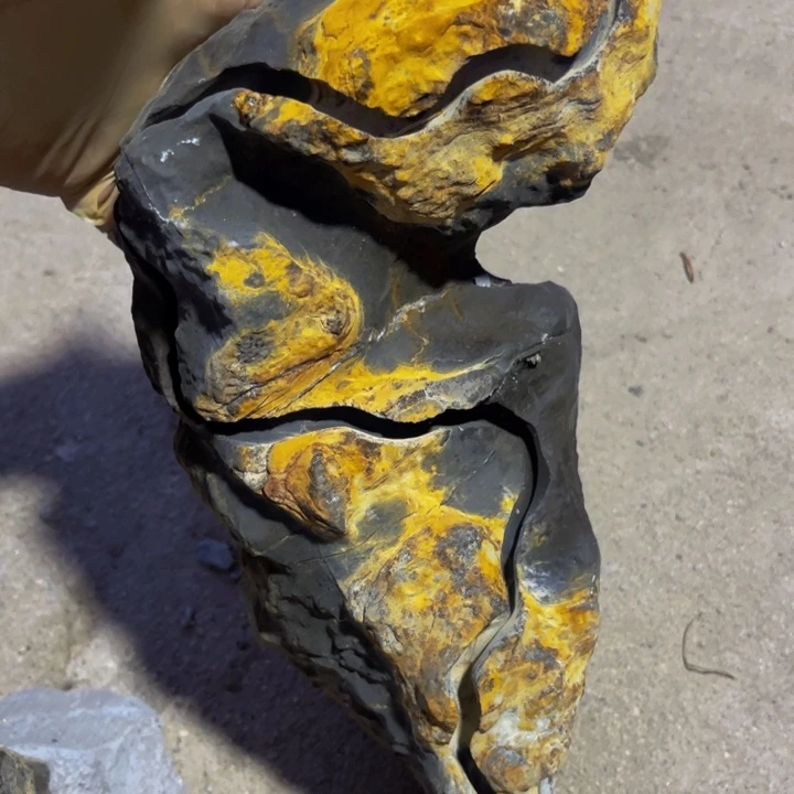 ****吖附石盆景一物一拍