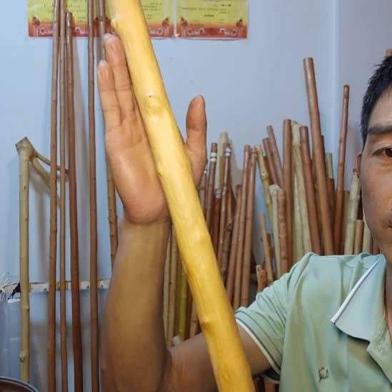 把***牛秦岭石山红荀子，牛筋木