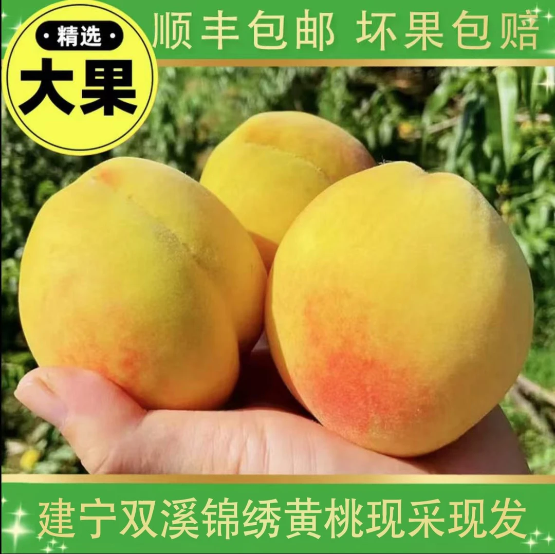 建宁双溪锦绣黄桃福建特产孕妇水果整箱当季脆甜新鲜黄桃顺丰包邮
