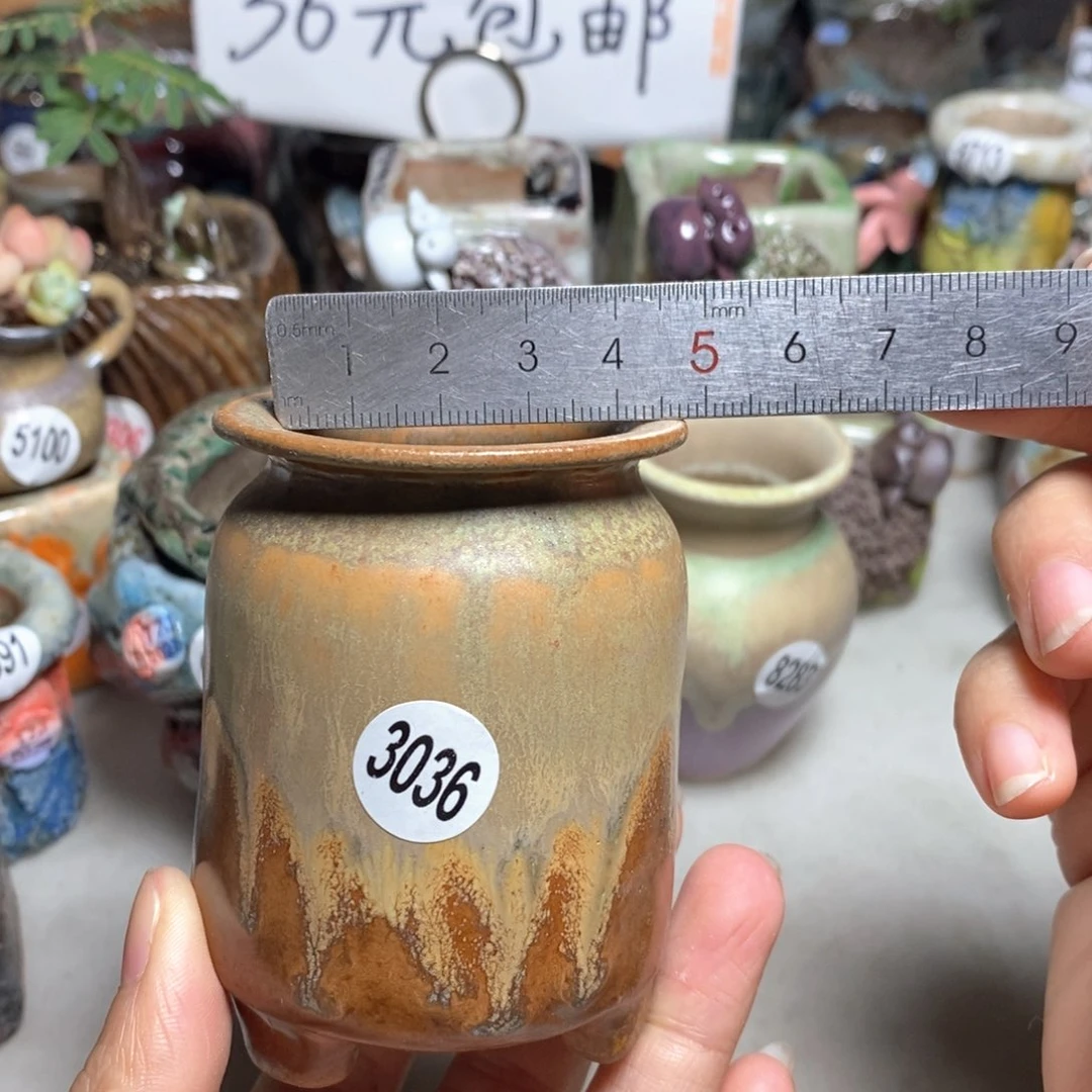 拍5送一个小礼物