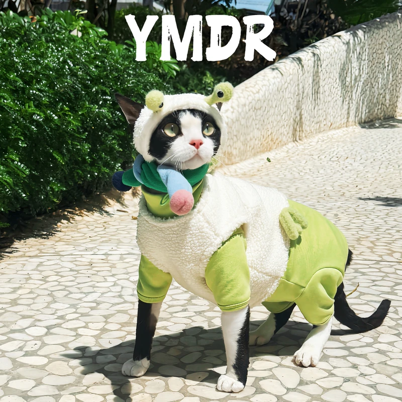 YMDR春日小青蛙德文猫无毛猫可爱猫咪奥绒打底绝育服衣服套装