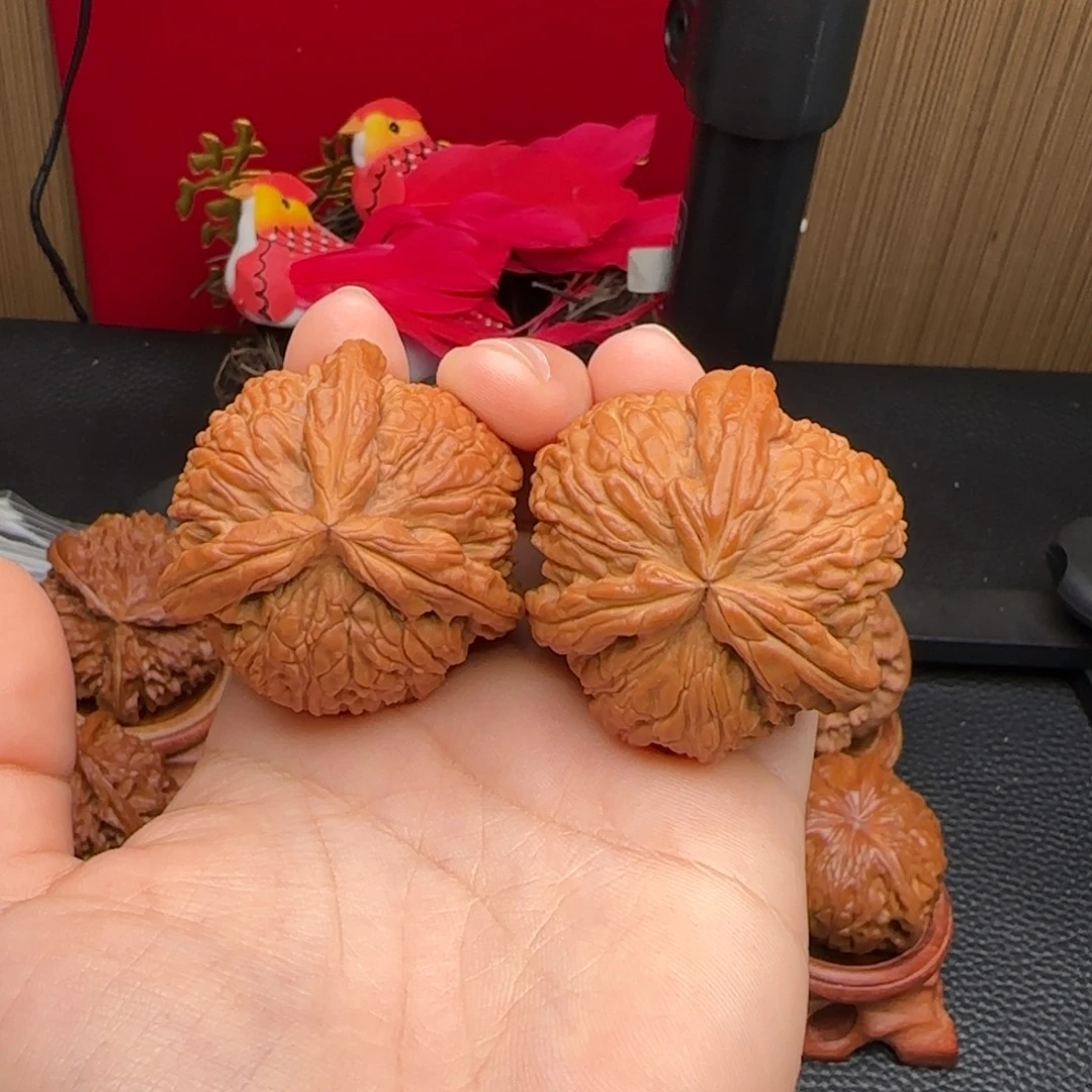 把件文玩核桃白奔 42尺寸