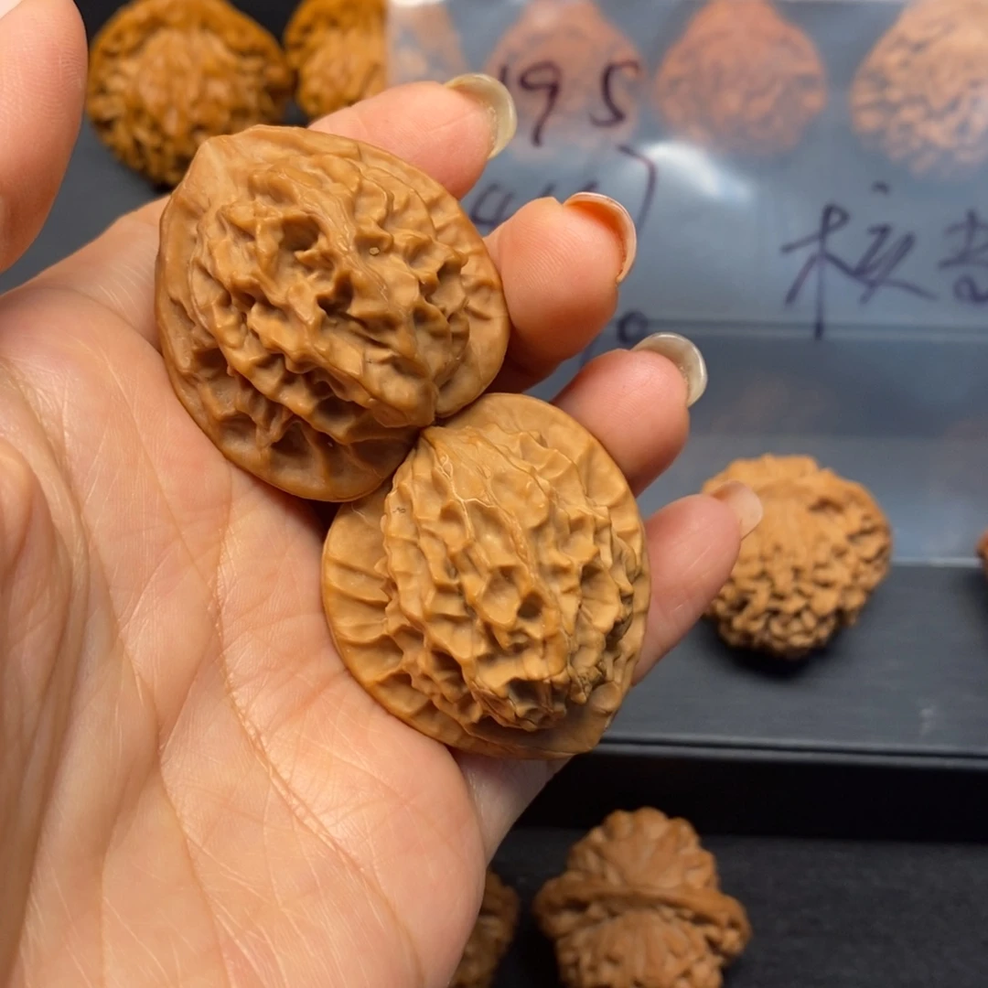 核桃手串/手链秦岭南侧和东北北部部分的