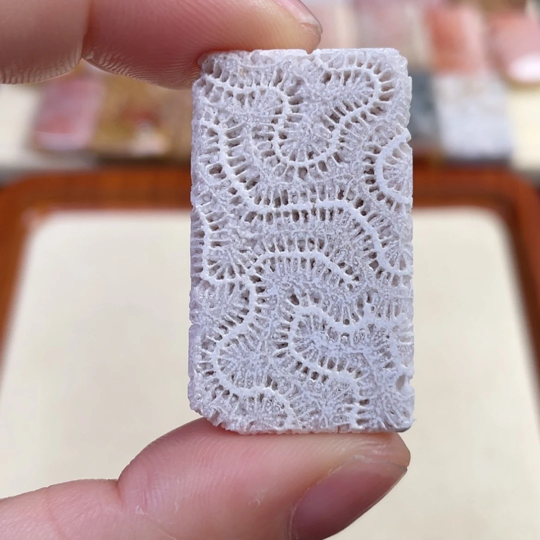 【闪购商品】硅化玉吊坠(赠链)未镶嵌