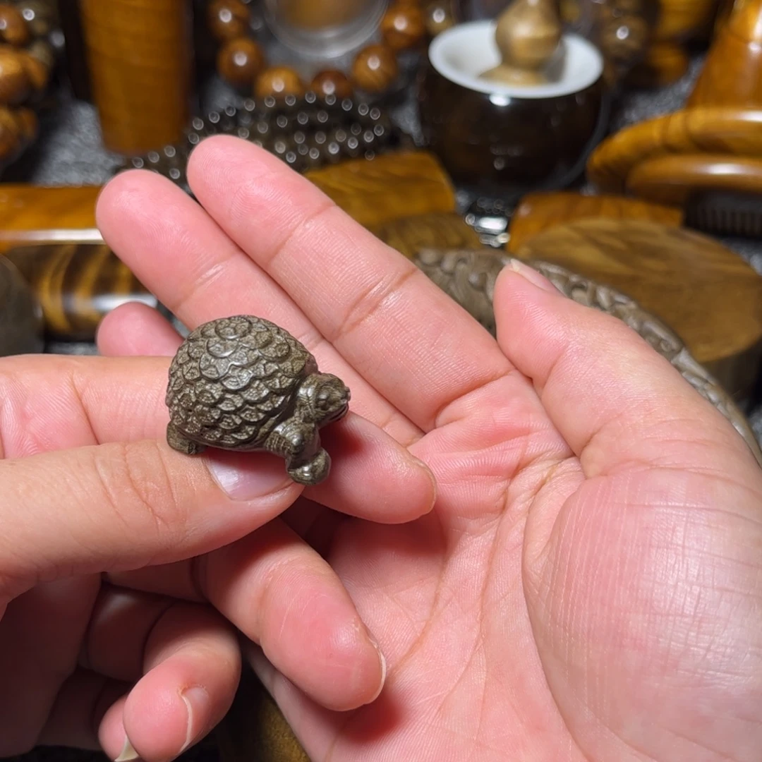 金丝楠阴沉木金钱龟