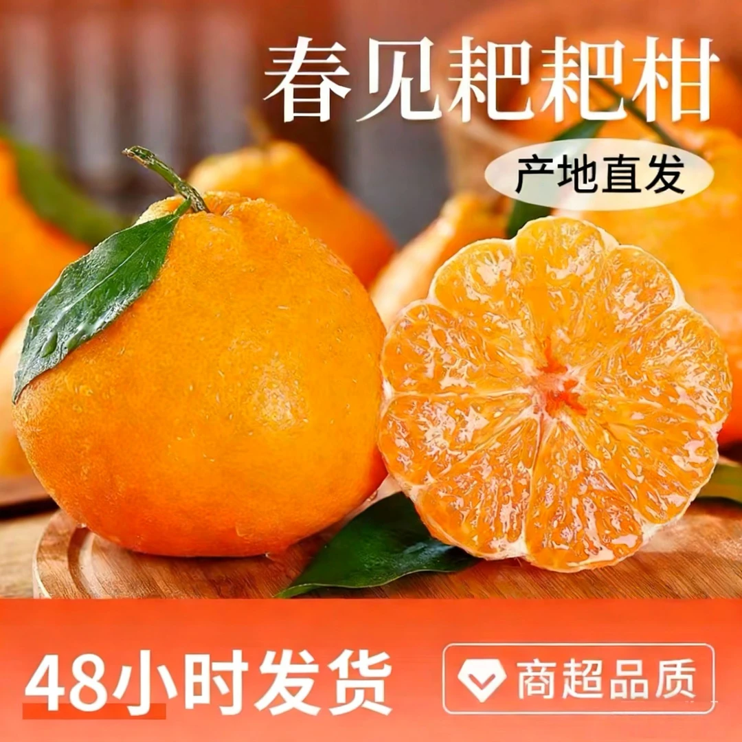 四川春见耙耙柑（树上熟）新鲜香甜多汁手剥应季水果产地直发