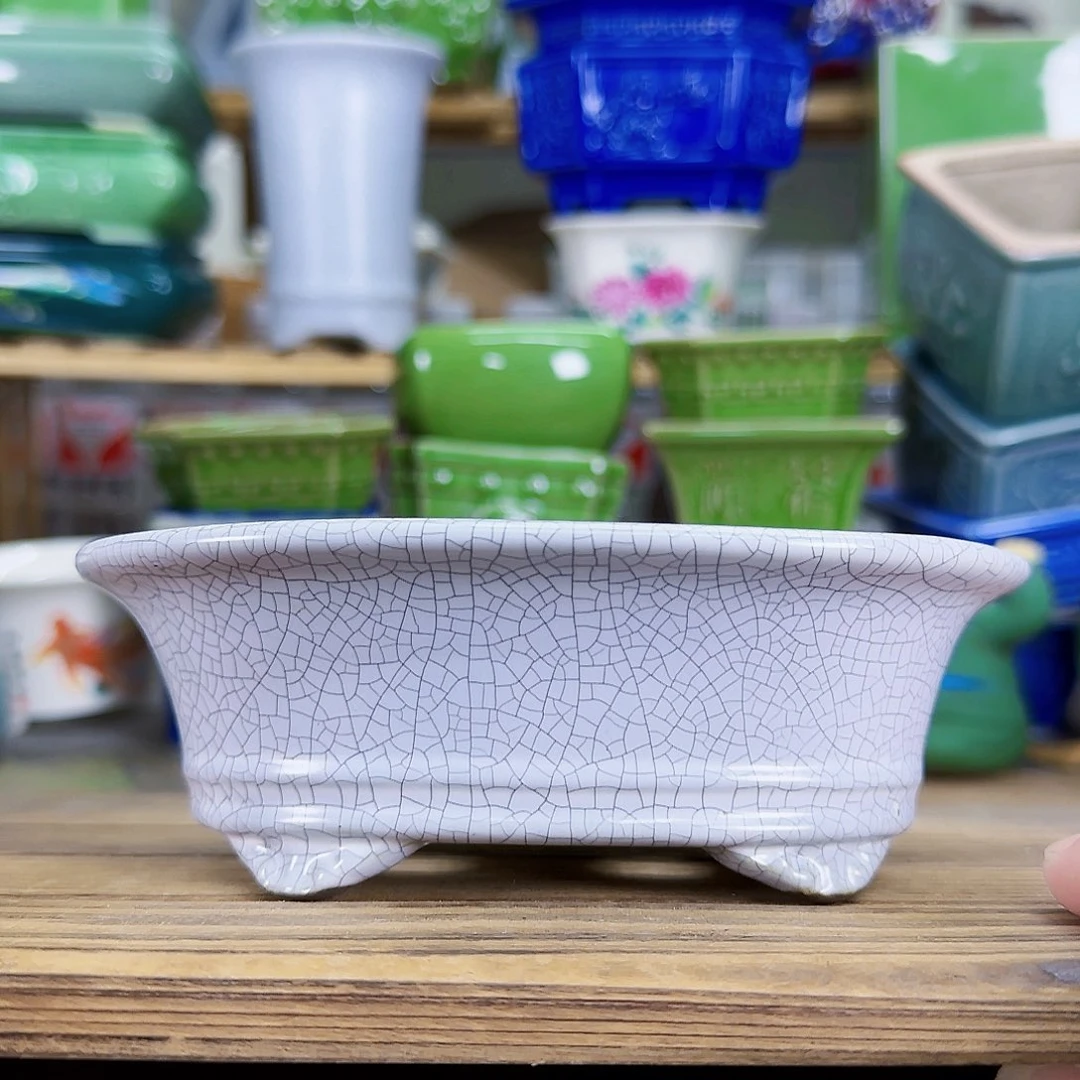 陶瓷花盆特价上新