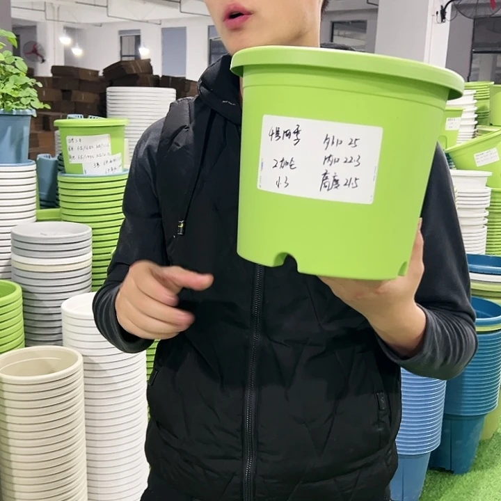 特价4号口25高21.5果绿色8只无托