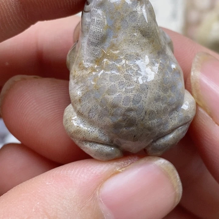 颈饰未镶嵌硅化珊瑚（珊瑚玉）小摆件
