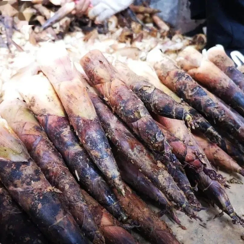 仙居村姑农产品——雷笋