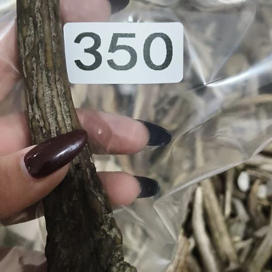 岁***人鹿角鹿角鹿角鹿角鹿角鹿角