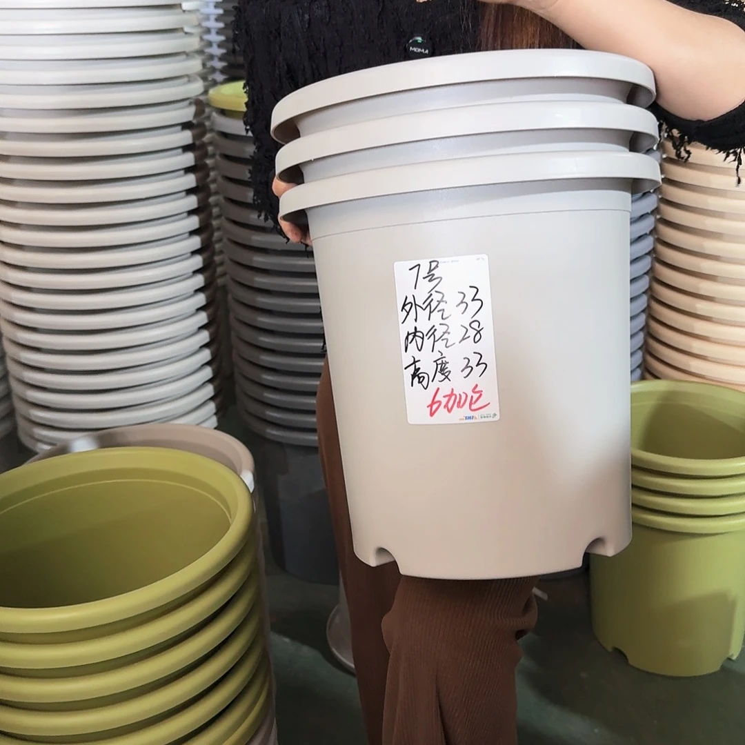 微瑕7#无拖灰白6个
