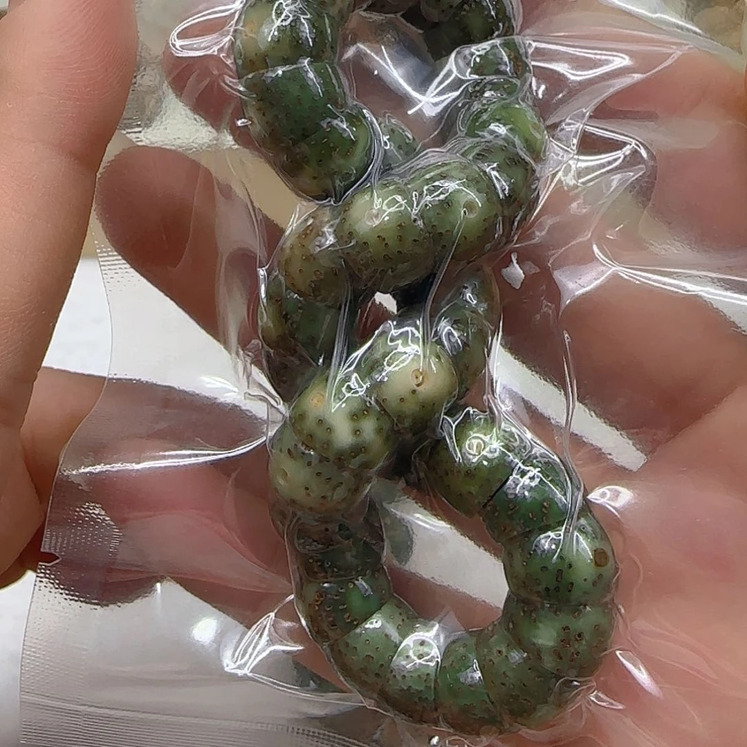 星月菩提手串10荣耀绿星月菩提1.0大肠单圈
