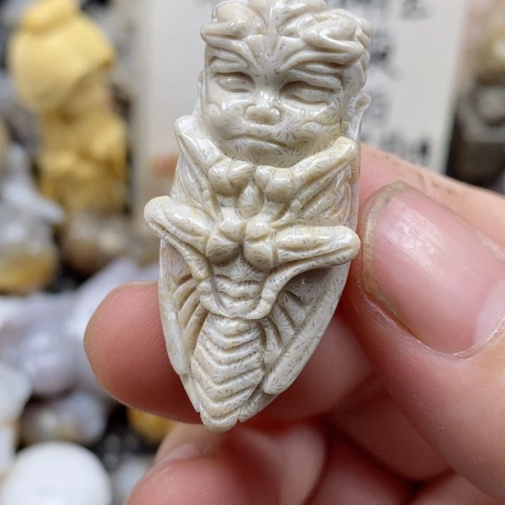 颈饰未镶嵌硅化珊瑚（珊瑚玉）