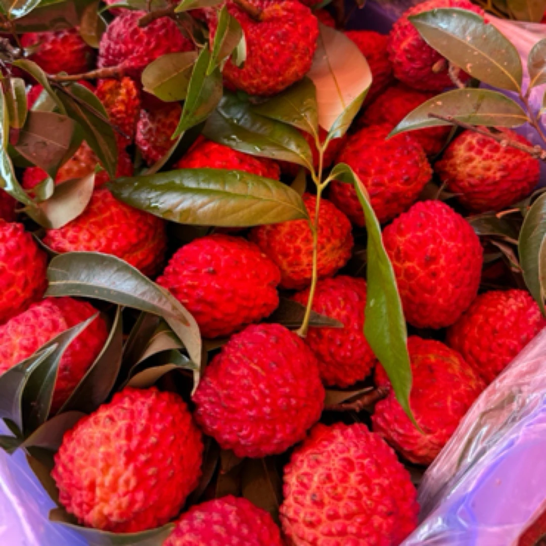 （兴义同城）荔枝王约1斤海南省