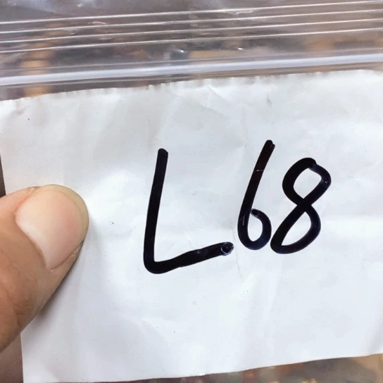 月***钱吊坠滴血莲花菩提