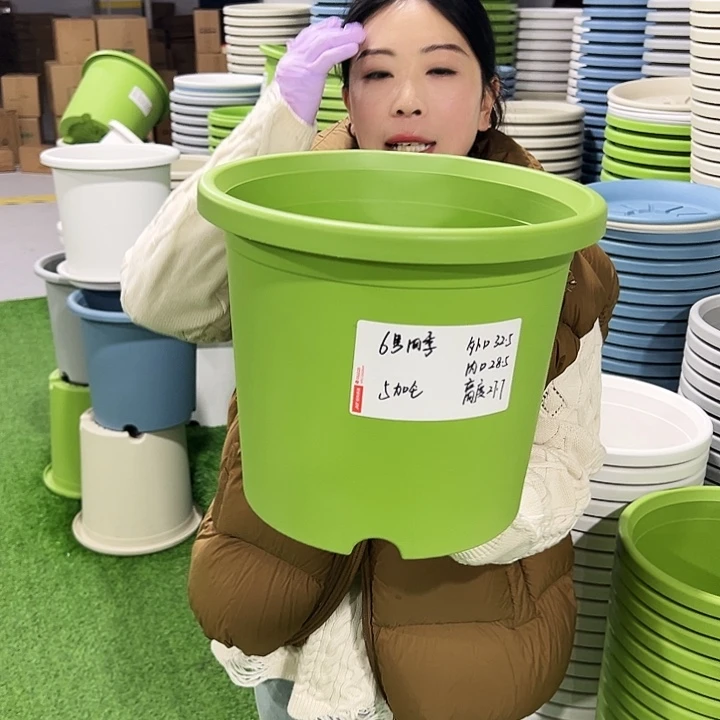 特价6号四季口32.5高27.7白色7只无托