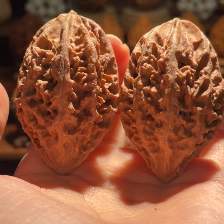 文玩核桃吊坠珊瑚柳叶40