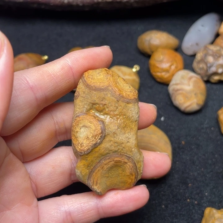 石材九眼页岩钱币石原石31