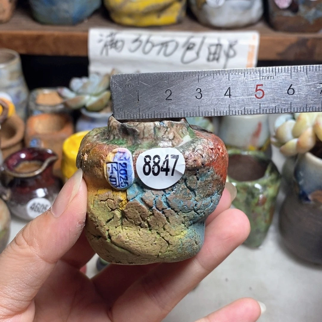 拍3送一个小礼物