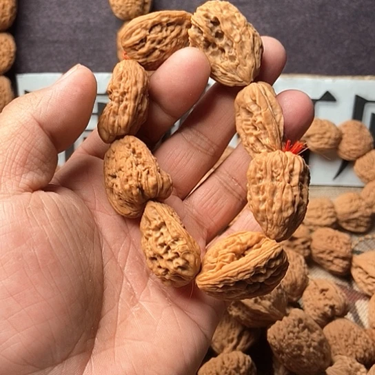 木***李涿鹿老树南疆手持