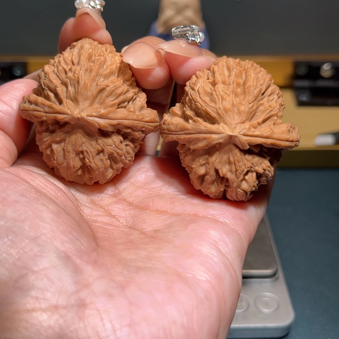 文玩核桃把件白狮子42