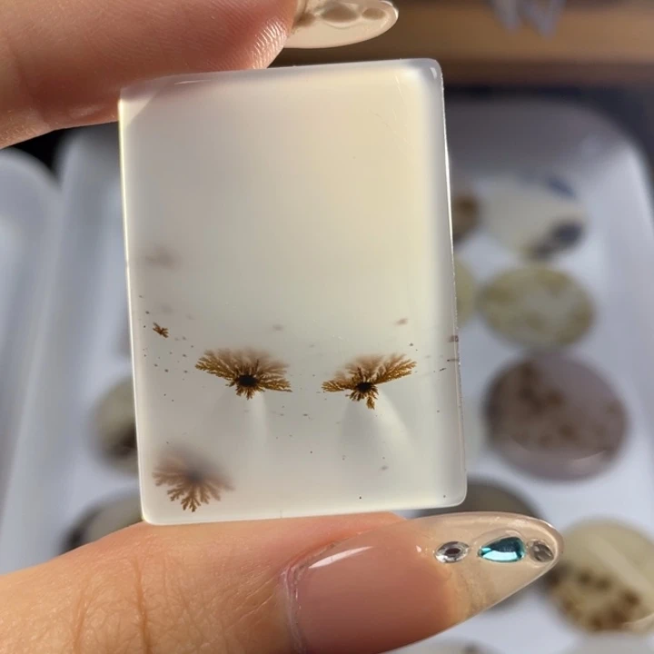 未镶嵌玛瑙象形福利款玛瑙/玉髓