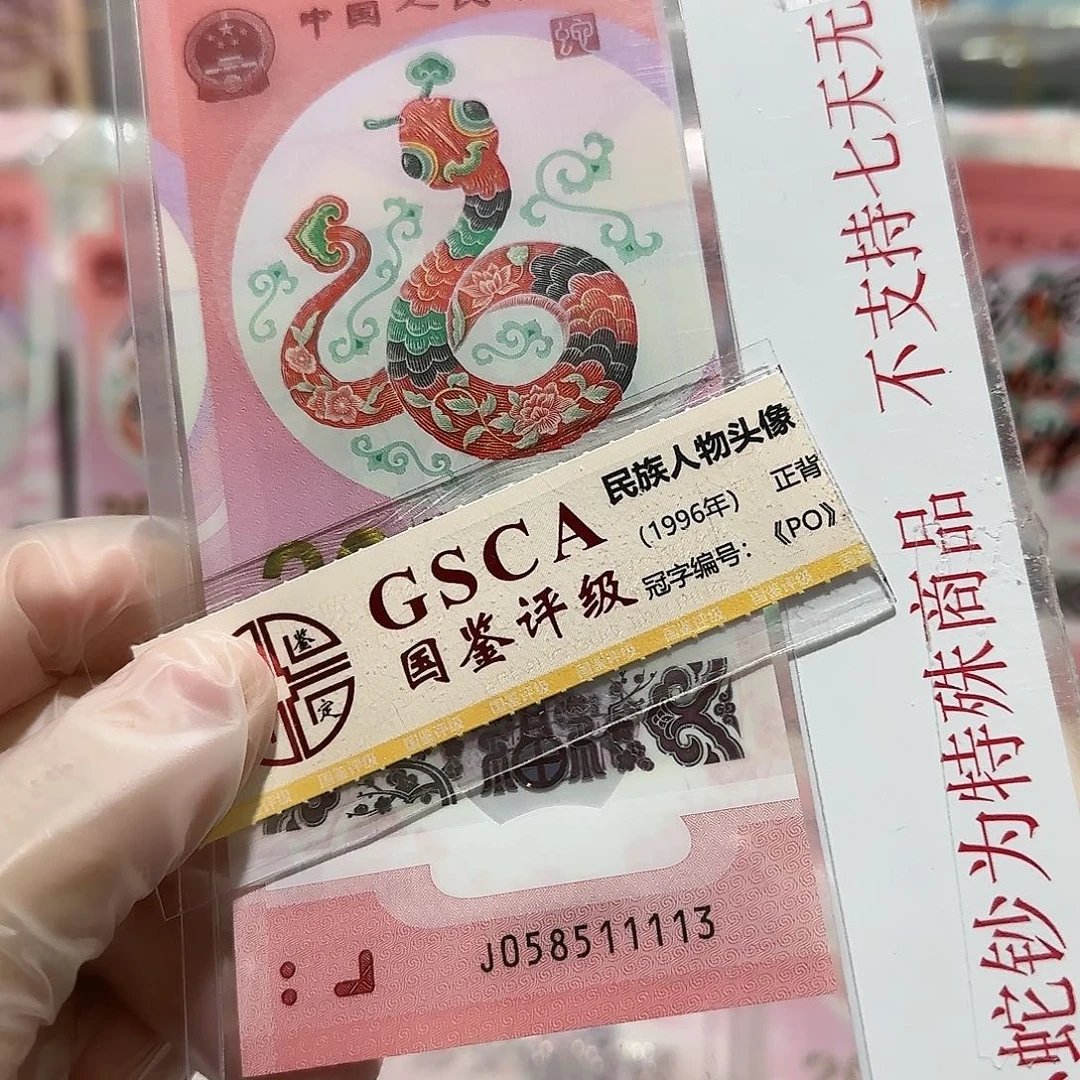 纸058511113。。。。。。。。