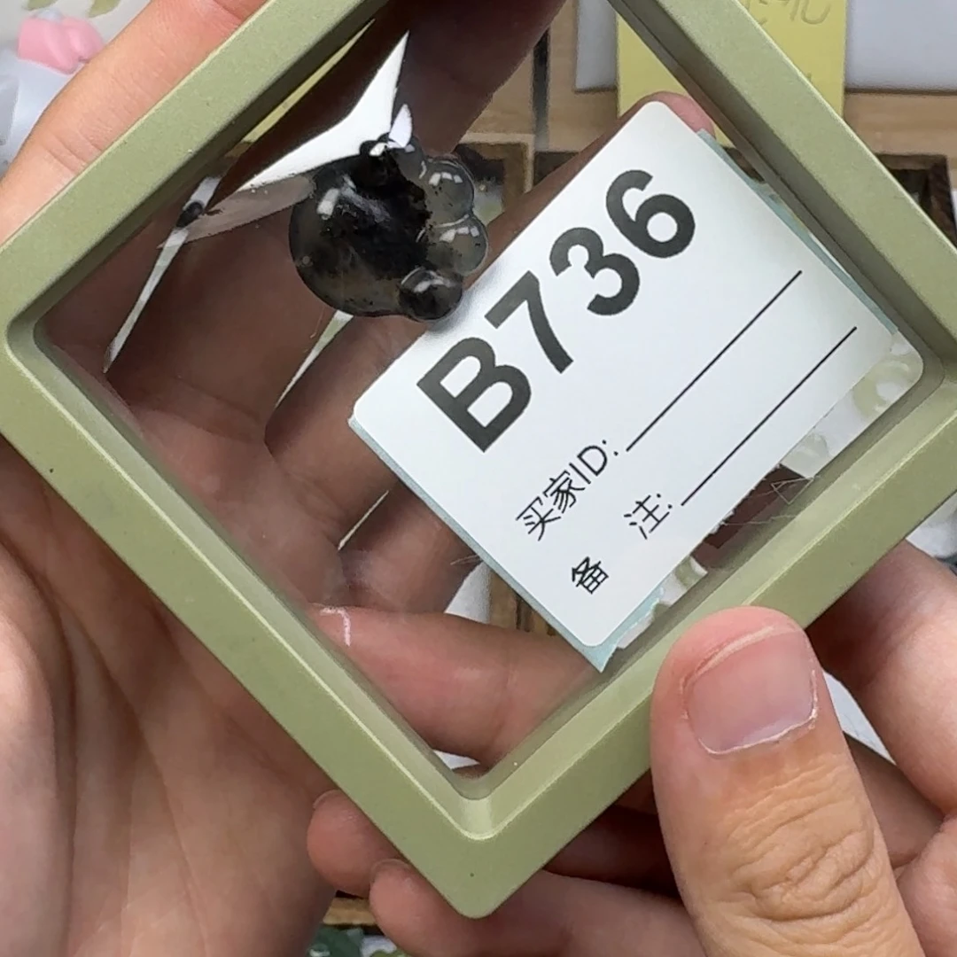 蛇纹石玉吊坠未镶嵌饿**饭