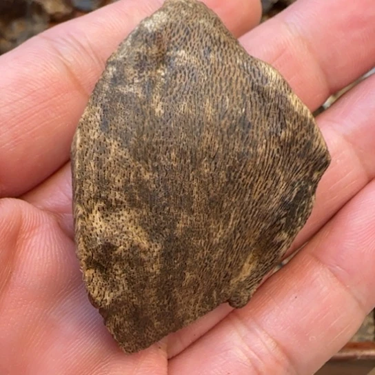 沉香摆件老香港沉水包头4克