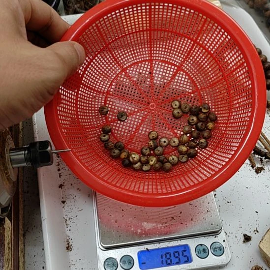 沉香奇楠沉香算盘珠熏香料