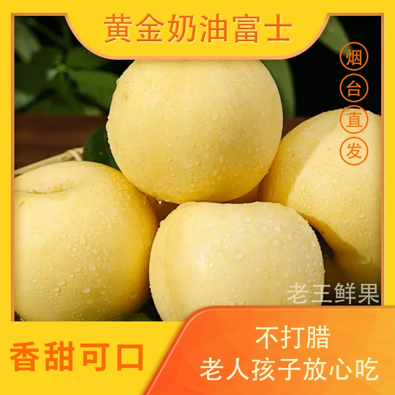 【精美彩箱5斤/10斤】80-90mm烟台黄金奶油富士苹果脆甜新鲜包邮