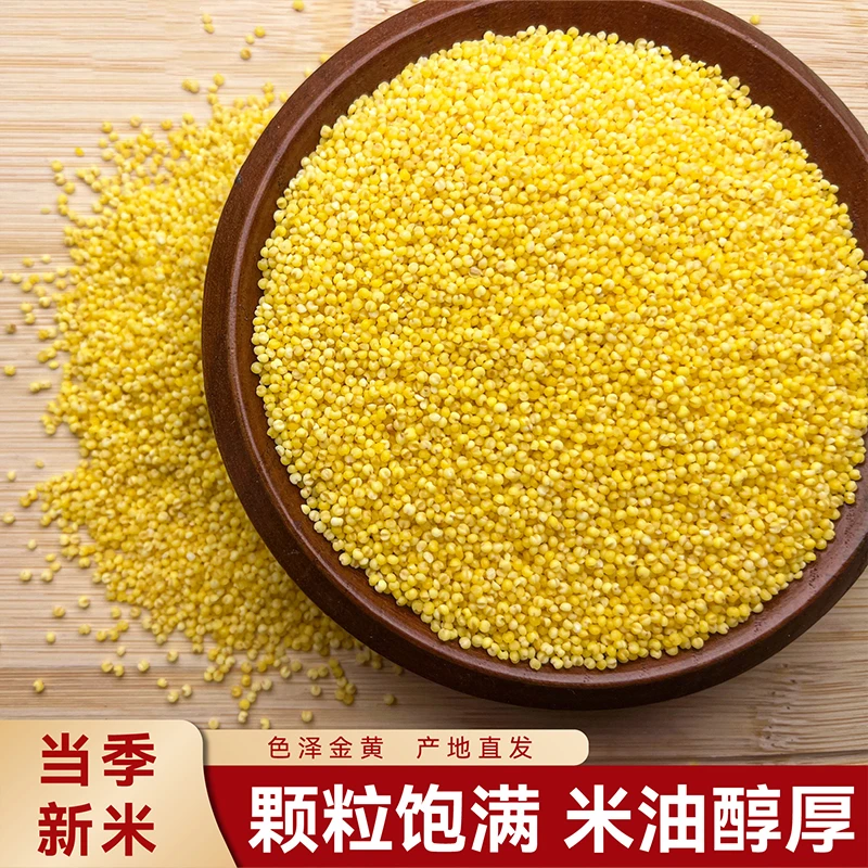 依山郡黄小米500g秋收新米宝宝煮粥五谷杂粮米粗粮早餐月子米