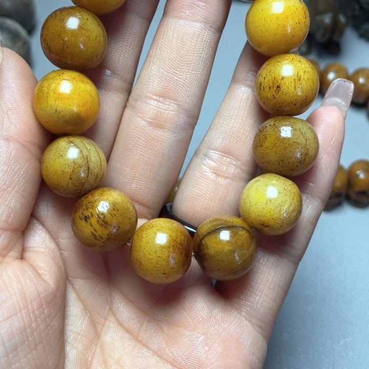 大果紫檀（缅甸花梨）