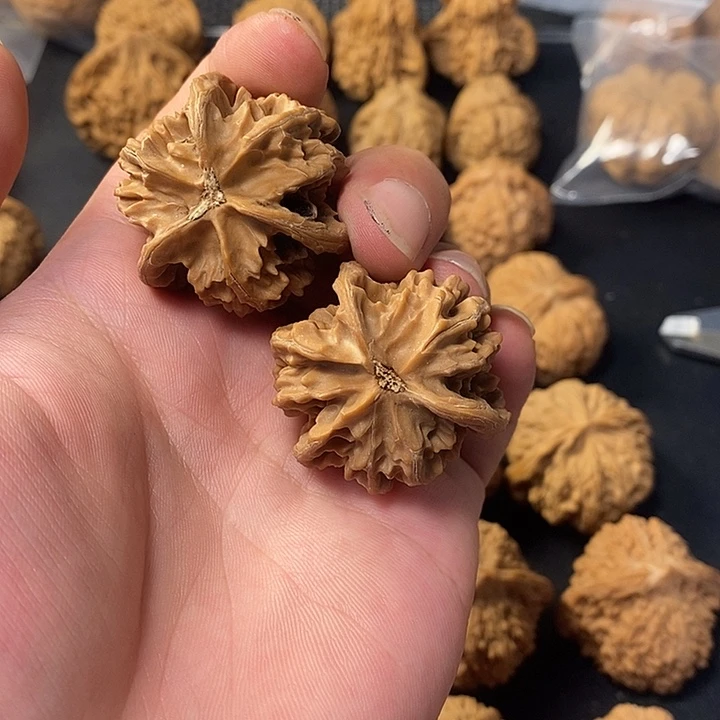 煮***条桃核把件3565445445