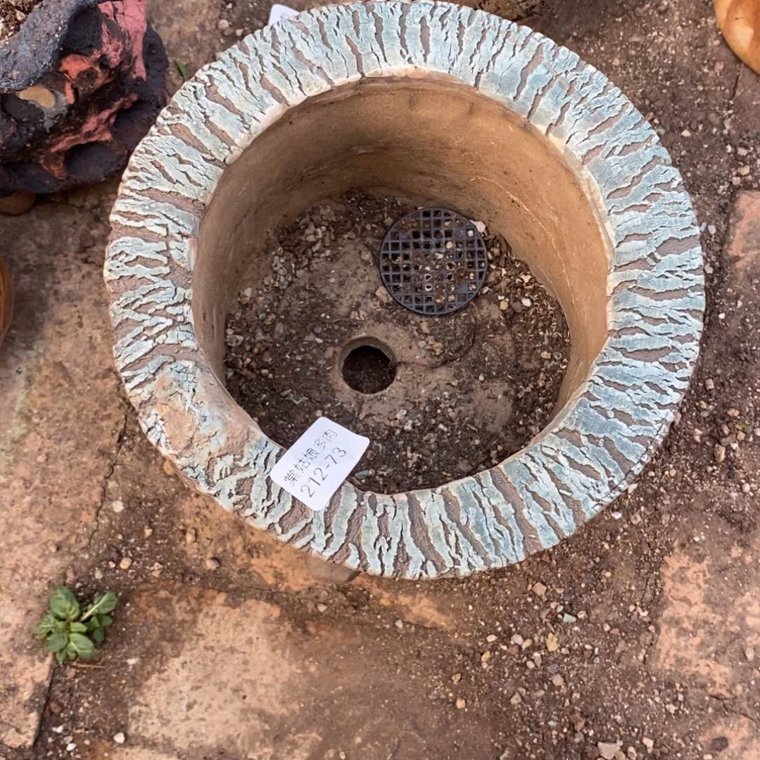 岁**水73号多肉盆一个呀