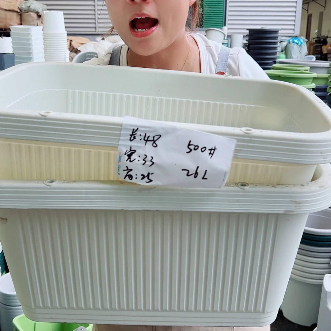菜盆500#米白色3个无托