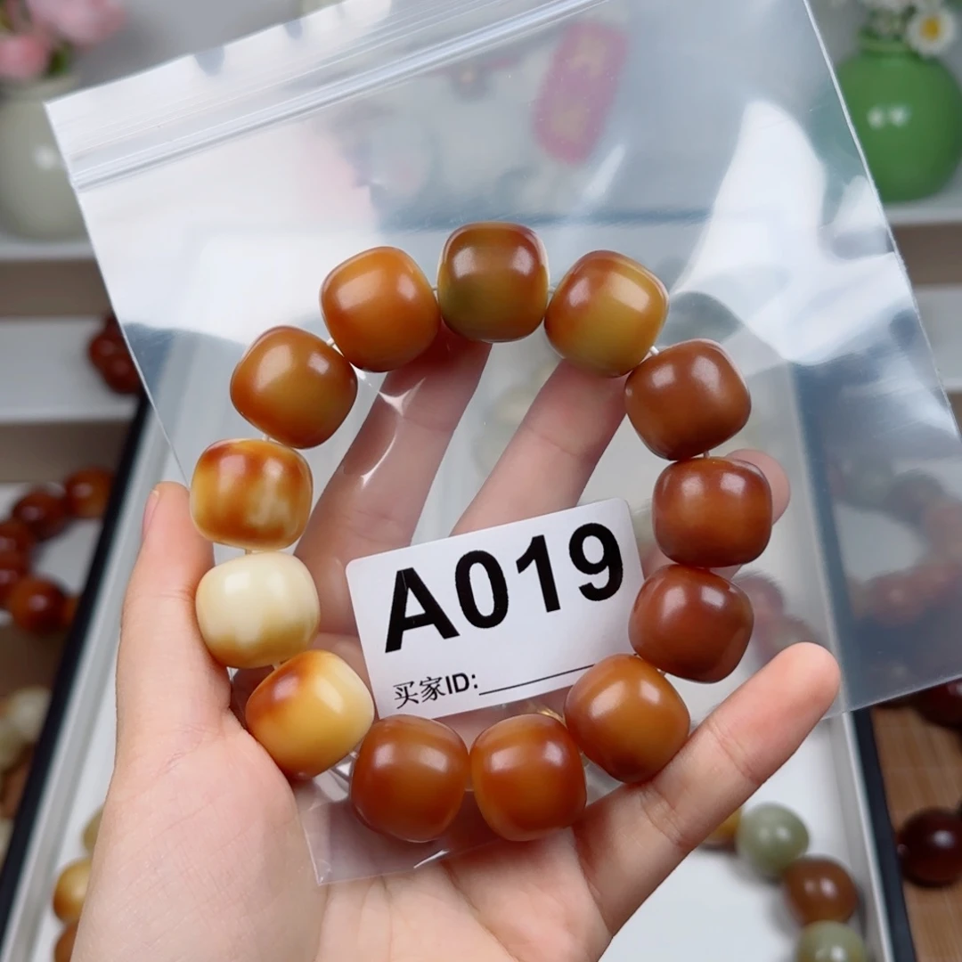 手串菩提根/象牙果