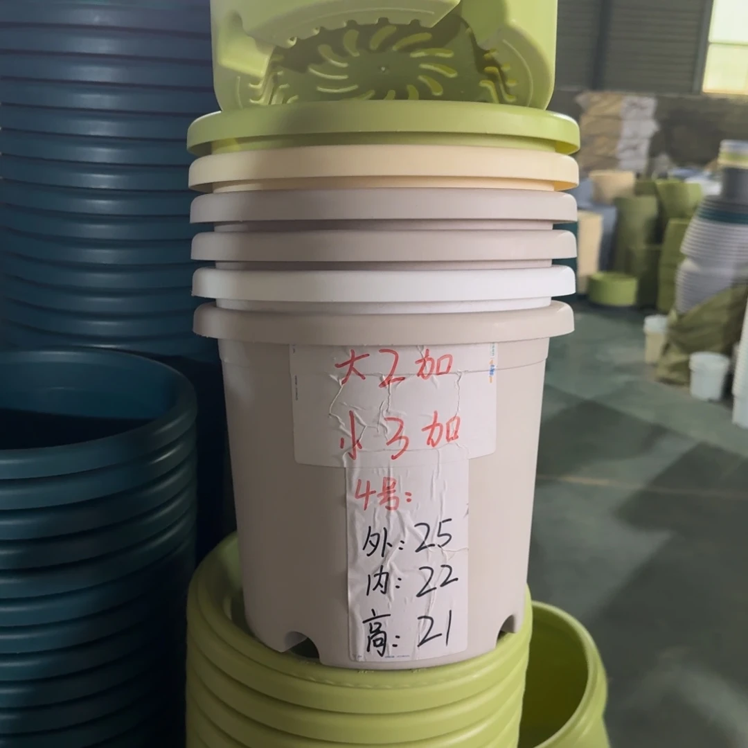 四季4#口径25无拖果绿8个