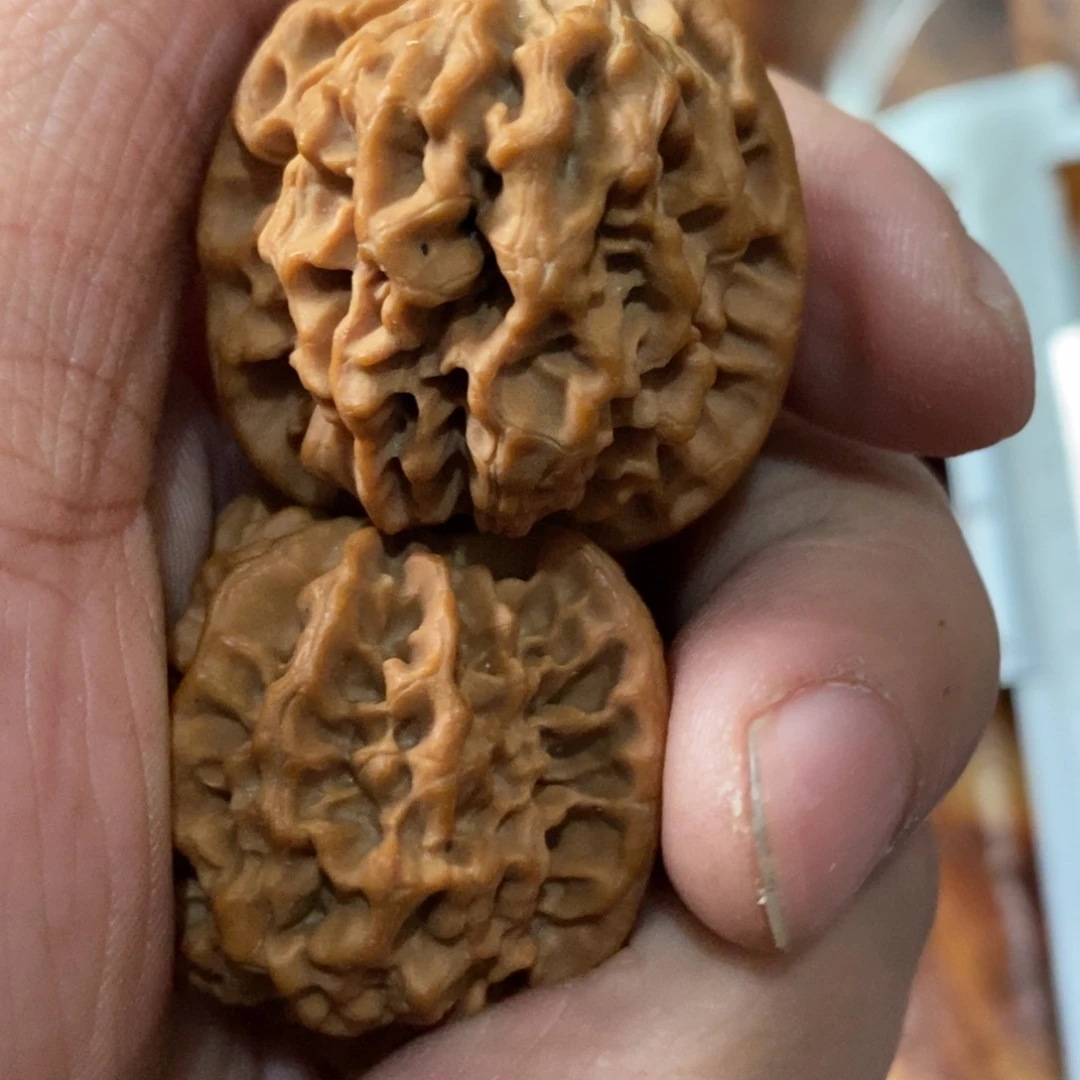 秦岭南北区一座城市