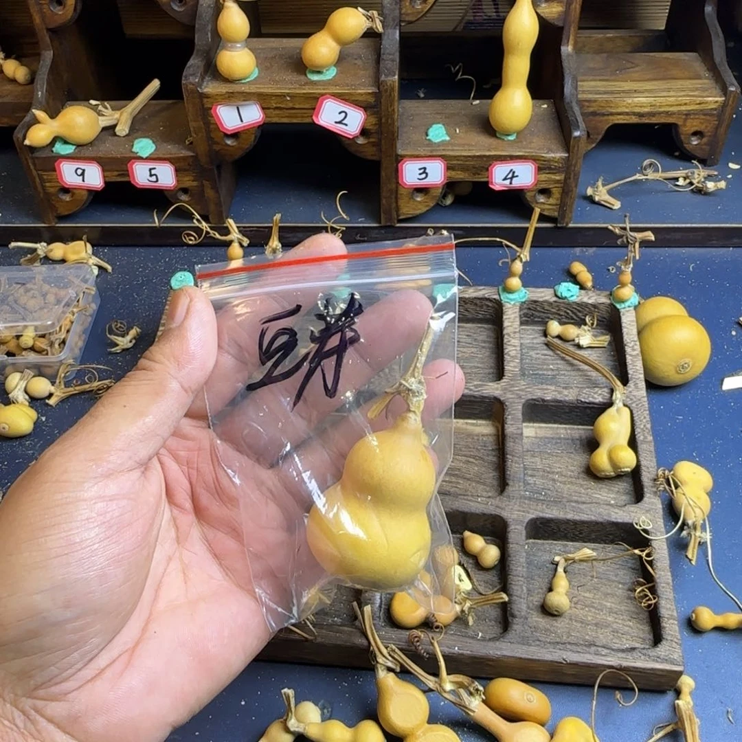 豆*汤我是一只小小鸟地域鬼的人生