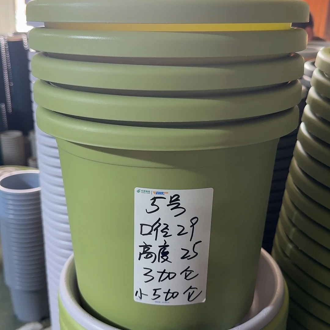 四季5#无拖果绿6个