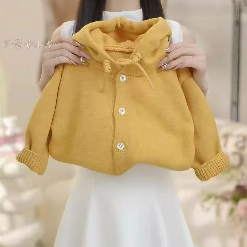 女童2025秋季新款洋气连帽毛衣LY080