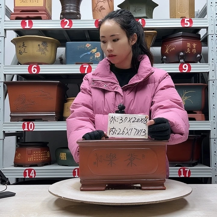 紫砂花盆紫砂花盆