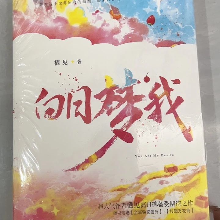 不保的小说 白日梦我 一套两本