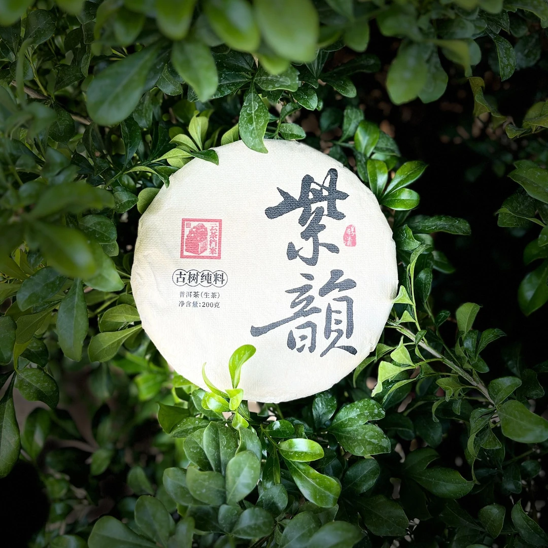 云南普洱茶生茶昔归紫芽古树普洱茶叶200克 2024年