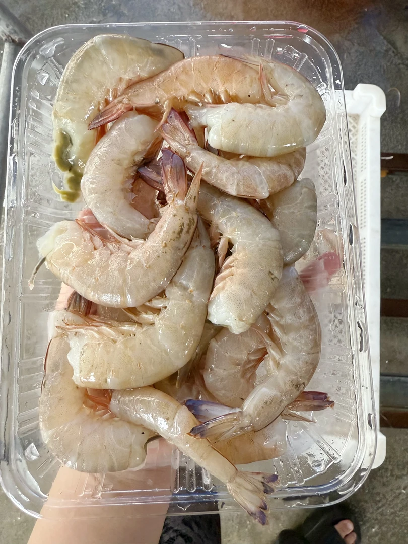 速冻 博贺港天然海捕海虾 去头麻虾尾2.5斤