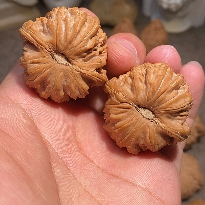 核桃手串/手链40全品卡姿兰白狮子