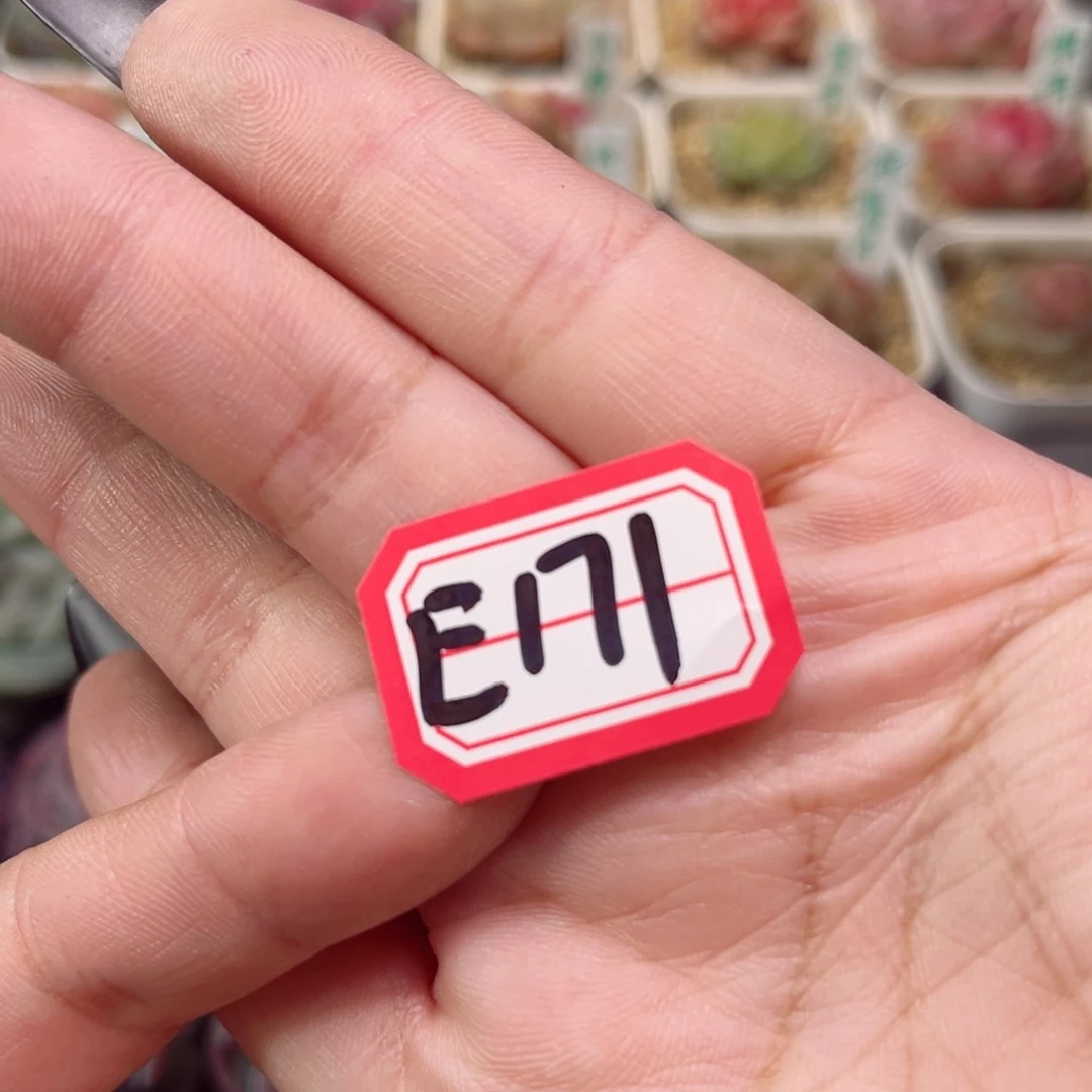 小***?E171一物一拍 补差